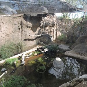 Great blue heron exhibit [2015]