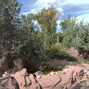 Mexican wolf exhibit [2015]