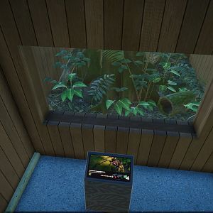 Brazilian Salmon Pink Birdeater Tank