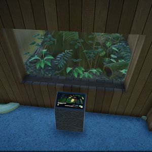 Goliath Birdeater Tank