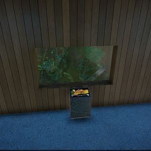 Giant Centipede Tank