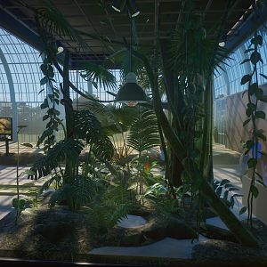 Red Tailed Boa Enclosure