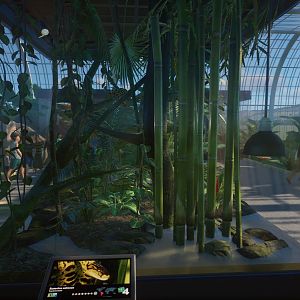 Yellow Anaconda Enclosure