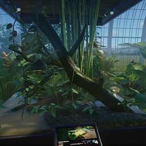 Green Iguana Enclosure