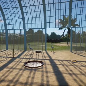 Tortoise, Flamingo Indoor Enclosure