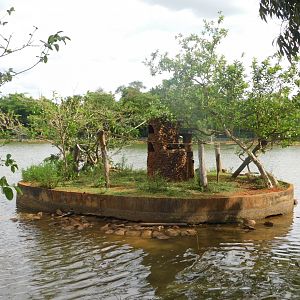 Black bearded saki exhibit - Brasilia zoo