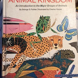 The Animal Kingdom: An Introduction to the Major Groups of Animals