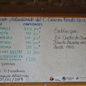 Tortoise inventory at Fausto Llerena Breeding Center [2019]