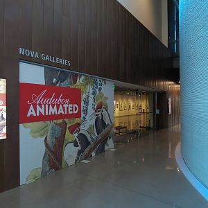 Nova Galleries - Changing Exhibitions