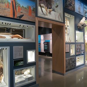 Minnesota Journeys - Tree of Life