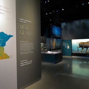 Minnesota Journeys - Web of Life