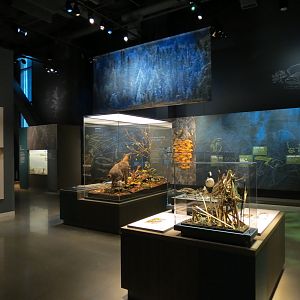 Minnesota Journeys - Web of Life