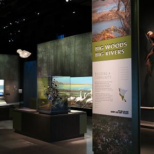 Minnesota Journeys - Web of Life