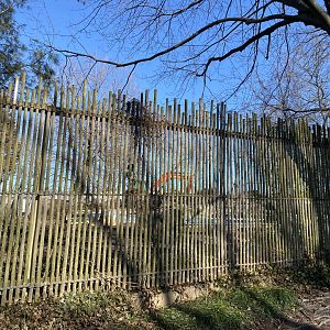 Potential Mystery Construction? #2