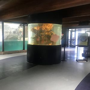 Aquatics building- new aquarium display