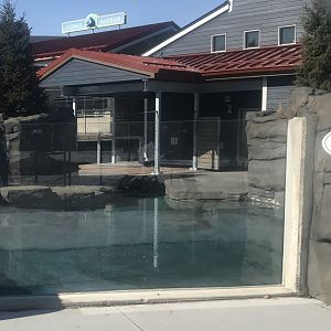 Como harbor- smaller seal/ sea lion enclosure