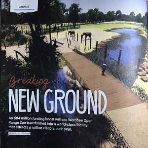 Asian Elephant Enclosure concept art