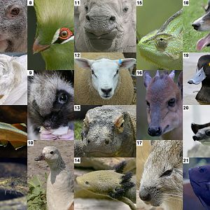 Mad March Monochrome Photo Puzzle - now in 8-bit colour