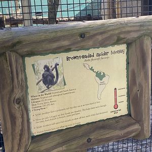 Spider monkey signage