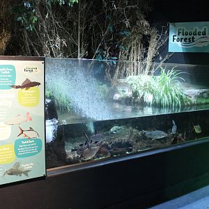 Amazon Community tank