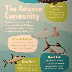 Amazon Community signage