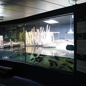 Terrapin tank