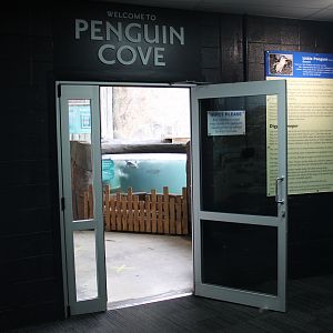 entry to the Little Blue Penguin exhibit