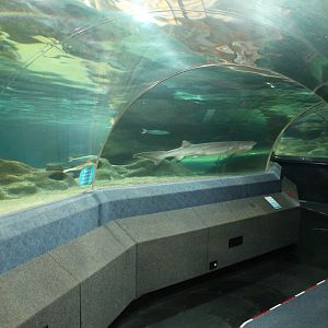 Oceanarium tunnel