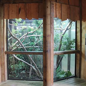 enclosure for Green Iguanas