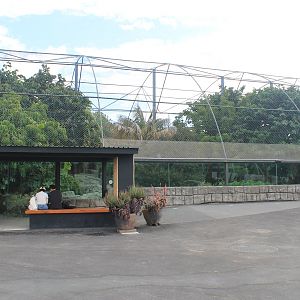 enclosure for Ring-tailed Lemurs
