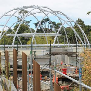 tropical dome construction