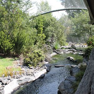 interior of High Country aviary