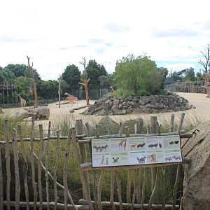 view across Giraffe enclosure