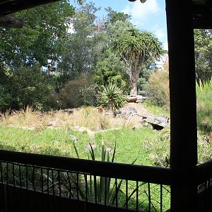 enclosure for Serval