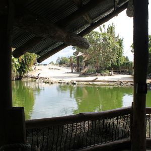 view across pool to rhino enclosure