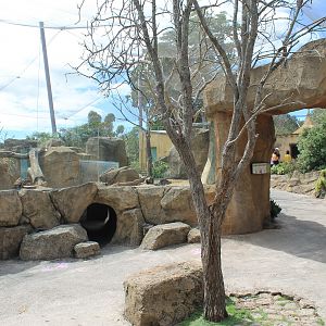 interior of walk-through lovebird aviary