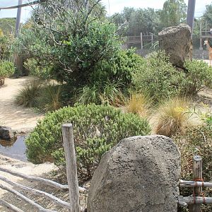interior of walk-through lovebird aviary