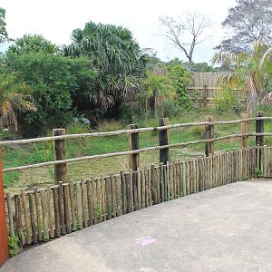 enclosure for Brolgas