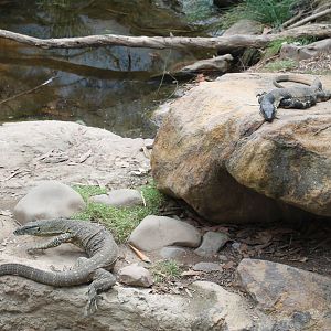 enclosure for Lace Monitors