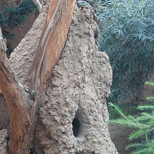 enclosure for Lace Monitors