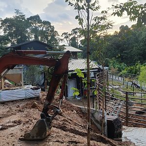 Wallaby Trail - Tasmanian Devil exhibit (under construction)