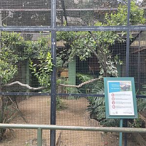 Barn Owl Exhibit