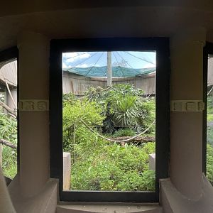 Outdoor Emperor Tamarin Exhibit