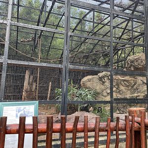 Black-and-White Colobus Exhibit