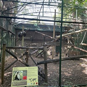 Mona's Monkey Exhibit   (Now contains lemurs)