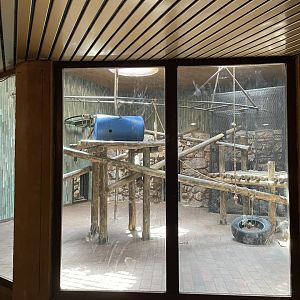 Indoor Chimpanzee  Exhibit