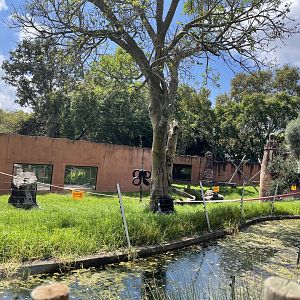 Chimpanzee Exhibit #2