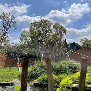 Chimpanzee Exhibit #3