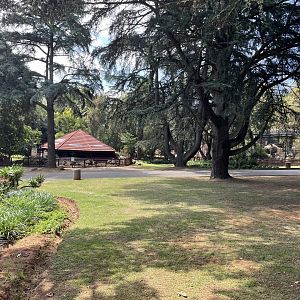Red Panda Exhibit in distance