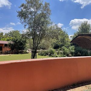 Pygmy Hippo Exhibit #1